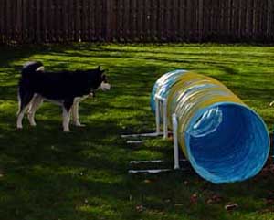 Sebastian considering the placement of the tunnel