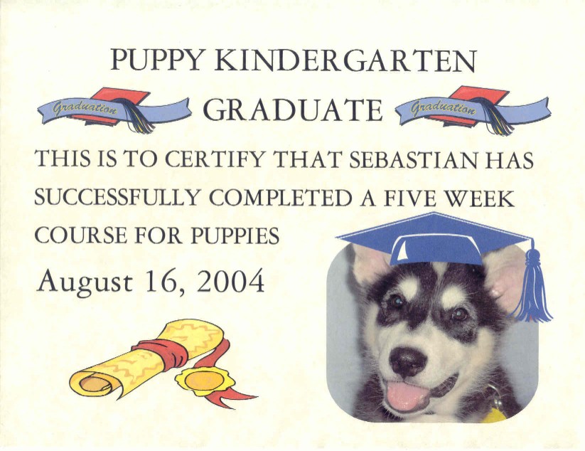 Sebastian Graduation Certificate